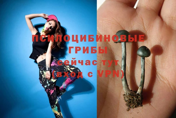 меф Зеленодольск