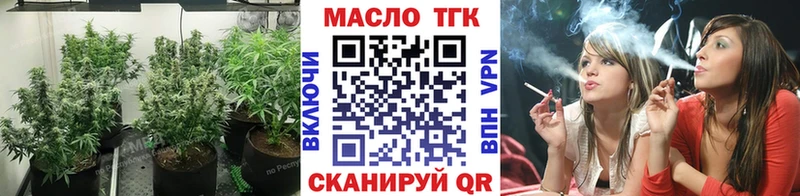 Купить закладки  Ядрин  ТГК THC oil 