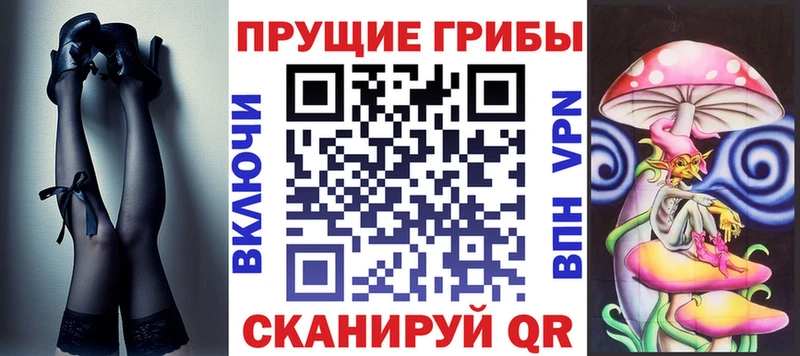 Купить закладки  Ядрин  Галлюциногенные грибы MAGIC MUSHROOMS 