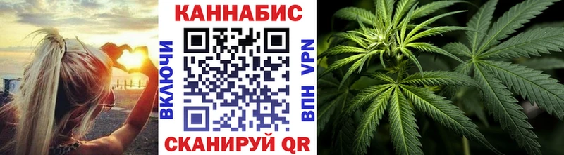 Каннабис сатива  Купить закладки  Ядрин 